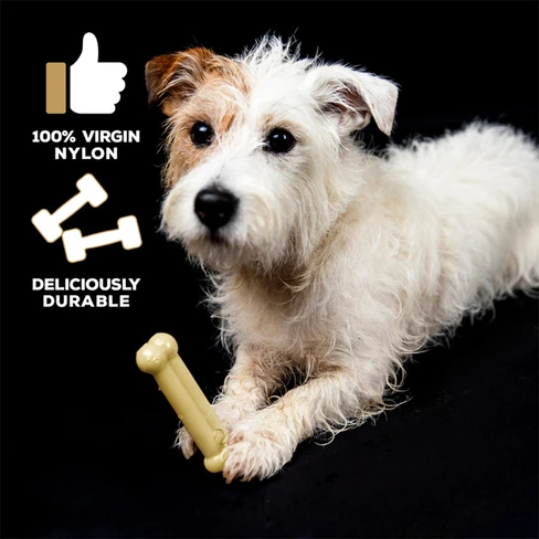 Tasty Bone