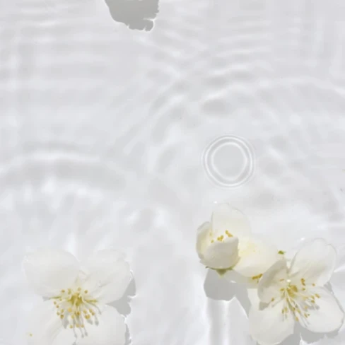 Shiseido
