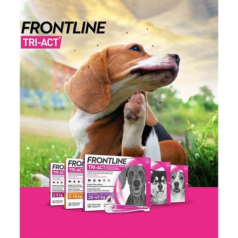 Frontline Tri-Act Dog Care SweetCare Ireland