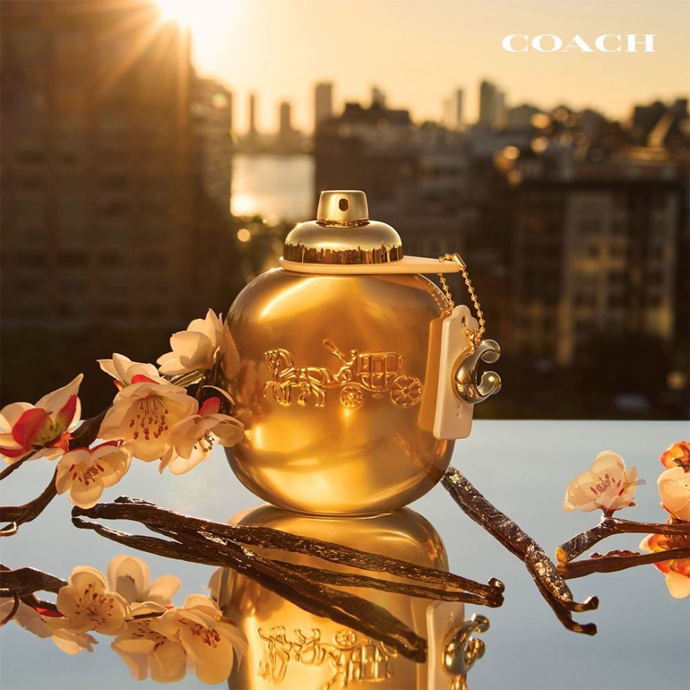 https://static.sweetcare.pt/img/prd/max/v-638864487933528126/coach-024871wc-2.jpg