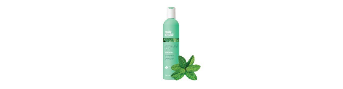 sensorial mint frequent use shampoo