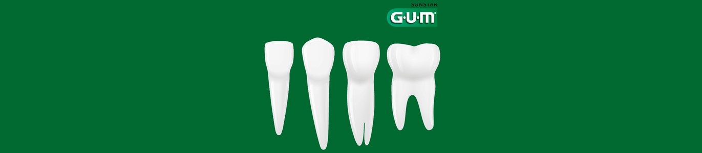 gum en