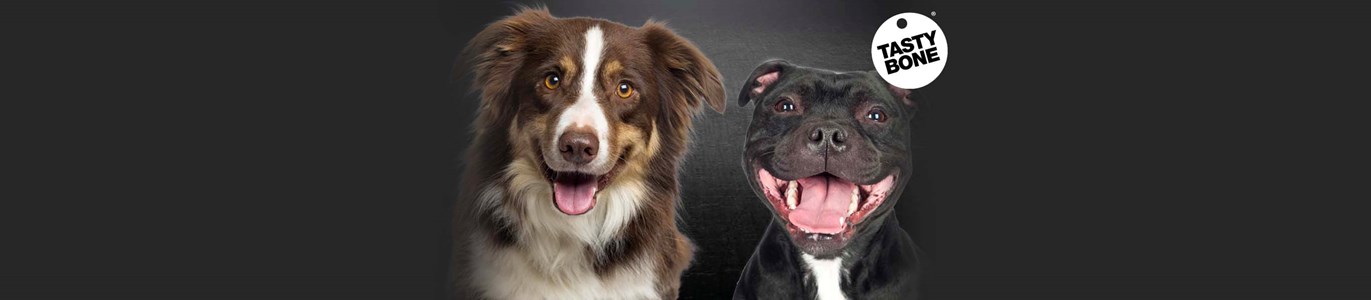 tasty bone en